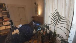 Room in Villa - dimora aganoor business suite
