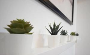 Lika Hotel - Standard Double or Twin Room in Istanbul