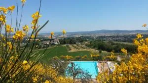 Holidays in apartment with swimming pool in Tuscany Siena - Chiusure