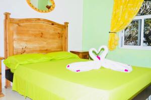 Gorgeous 22 People Villa With Pool Playacar Phase 2