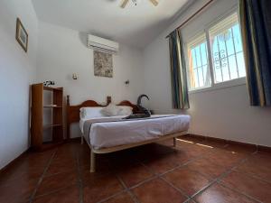 Cd-1383 Three Bedroom Villa With Pool