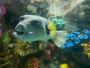 Appartment Rodolfo Historical Centre