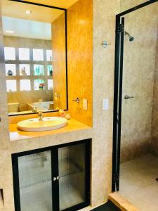 Suite Jacuzzi Room in Stunning Villa Playacar Ii