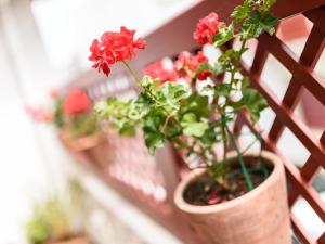 Hotels Hotel Les Almadies - Coeur de Ville : photos des chambres