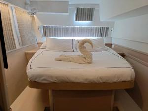 Epic Magical Catamaran In Marina