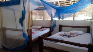 Mida Creek Eco Camp - Eco Lodge