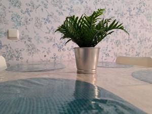 Casa Mamu, terrace, wifi and air con