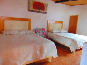 Room in Guest room - Nice Quadruple Cabin Equipped And Very Central