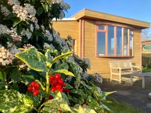 Waterfront holiday home Sonnenschein 3 persons with sauna