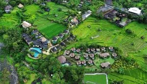 The Wapa Lux Tent - Selat