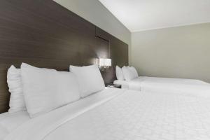 Queen Room with Two Queen Beds - Non-Smoking room in Clarion Inn near Lookout Mountain