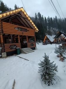 В Обіймах Гір