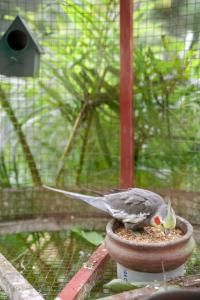 Wayanad Vista Family Bungalow