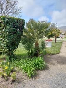 Maisons de vacances Maison de charme renovee : photos des chambres