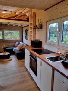 Tiny housse serenity avec jacuzzi