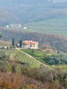 Agriturismo Cascina Capo - 内格拉尔