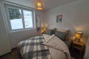 Appartements Magnifique appartement vue mont blanc : photos des chambres
