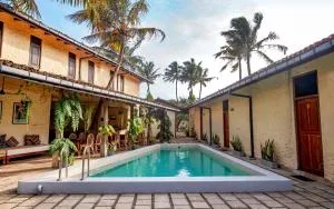 Lime & Co Hostel - 米迪加马东