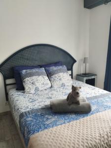 Maisons de vacances Jetez l-ancre, gite La Tremblade : photos des chambres