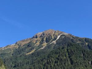 Ferienwohnung Scheimersch