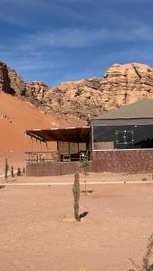 Monica Wadi Rum
