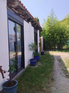 Maisons de vacances Jetez l-ancre, gite La Tremblade : Maison 2 Chambres