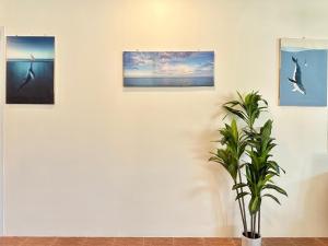 จิมเบ โคซี่เทล เขาหลัก Zimbei Cozytel Khaolak