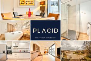 Appartements Entre deux Rives - Vue sur la Ville - Spacieux : photos des chambres