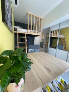 Appartements Studio du faubourg : photos des chambres