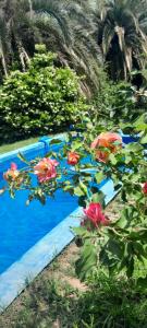 Quinta Las Ardillas lujan