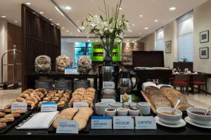 NH Mendoza Cordillera