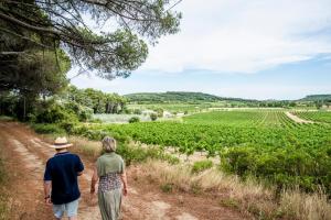 Maisons de vacances 2 Ferienhauser auf dem Weingut Domaine La Grange : photos des chambres