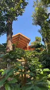 Coorg hill - Subrahmanya