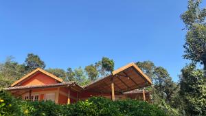 Coorg hill