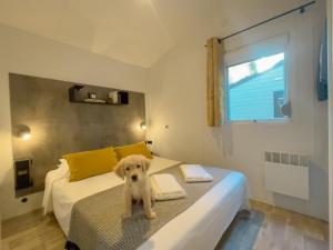 Campings Camping Le Sequoia : photos des chambres