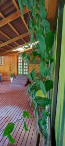 Refúgio nas Montanhas