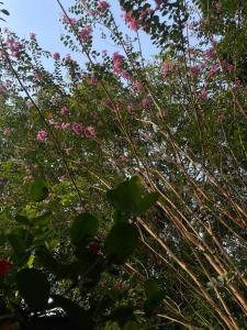 Pousada Vila da Praia