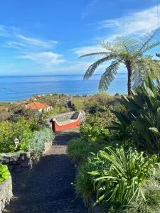 Quinta das Hortênsias - São Jorge