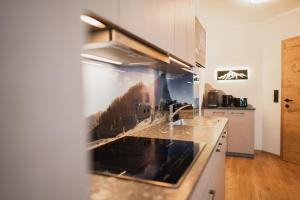 Chalets und Apartments Hauserhof Nassfeld