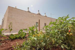 TD I Coni di Pinurè Trulli with Scenic Valley View
