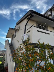 Apartman Nikolić