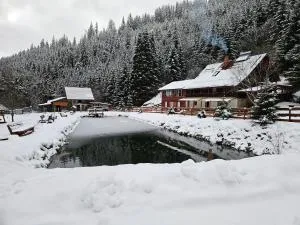 Cabană în inima munților - Gálkuti Kulcsosház - 伊兹沃鲁穆列什鲁伊