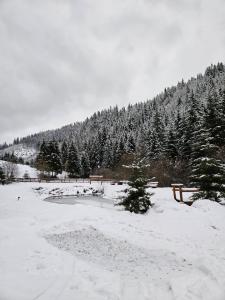 Cabană în inima munților - Gálkuti Kulcsosház