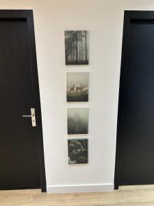 Le Nid de la Cathédrale