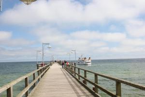 Villa mit Sonnenhof Ferienwohnung Netzboden - kostenfreie Schwimmbadnutzung in Sellin