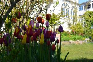 Villa mit Sonnenhof Ferienwohnung Gartenzauber