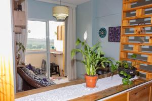 Quarto Residencial Dubai - Lazer Completo