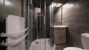 Le Schuss IV 377 - 2P4