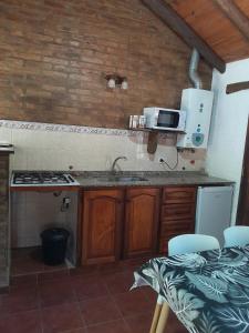 Cabañas Franca Austral