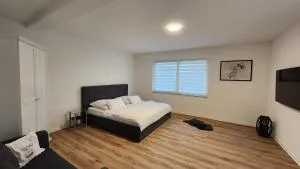 Seven Days Home - 英格尔芬根